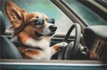 (image for) Going for a Ride - Corgi